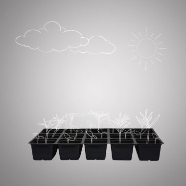 Palántacserepek és palántanevelő tálcák